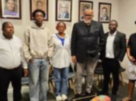 Our Visa Sections Are Accessible To Nigerians, S/Africa Affirms, Dispels Rumours Of SuspensionÂ