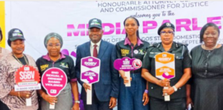 DSV: Lagos Reaffirms Commitment To Prevention Access To Justice, Support For Survivors